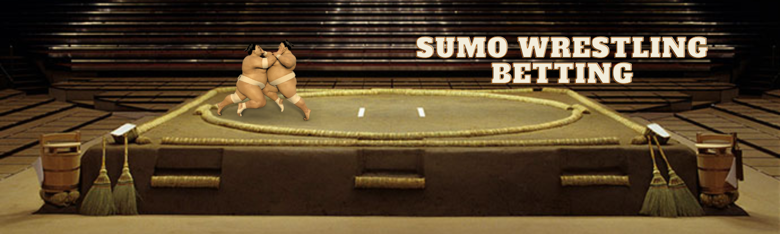 Sumo Wrestling Betting