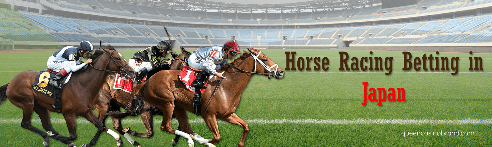 Horse Racing Betting in Japan